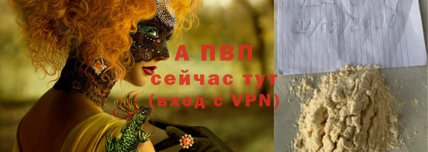 гидра Гусев