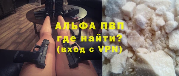 гидра Гусев