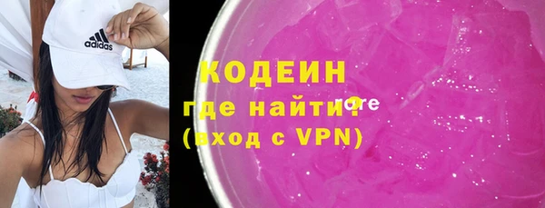 гидра Гусев