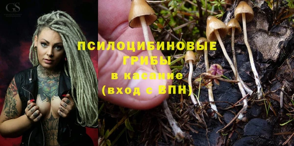 а пвп мука Дмитров