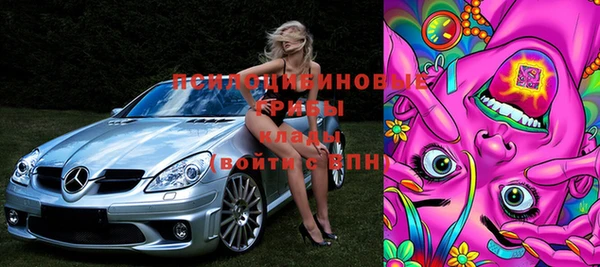 тгк Дмитриев