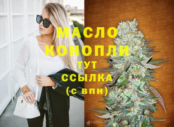 тгк Дмитриев