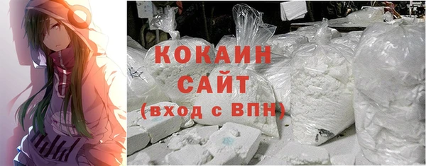 гидра Гусев