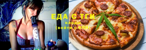 гидра Гусев