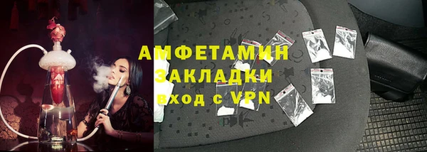 тгк Дмитриев