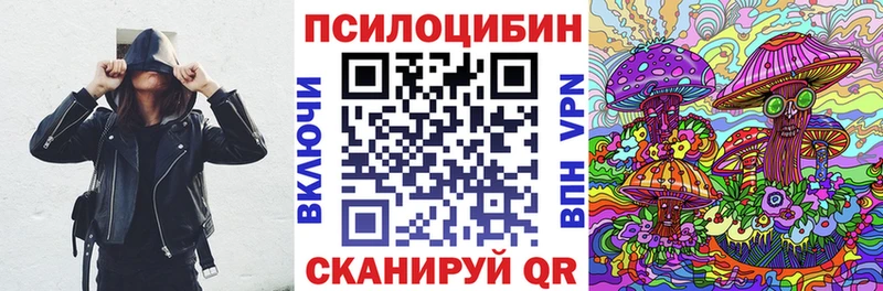 Купить где  Красавино  Галлюциногенные грибы мицелий 